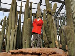 -南通洲际绿博园