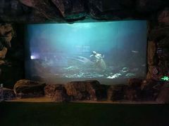 -烟台海昌鲸鲨海洋公园