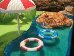 -太平洋海底世界