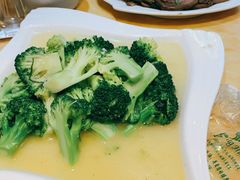 -敦煌达记酱驴肉黄面馆