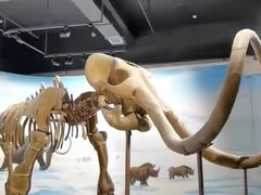 -辽宁古生物博物馆