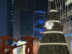 -深圳湾万象城(南山店)