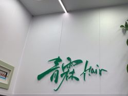 -青霖·飘逸造型