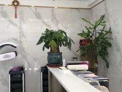 -源素美容养生会所