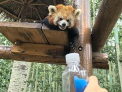 -北京野生动物园