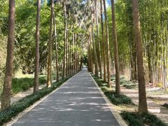 -简朴寨傣味餐厅
