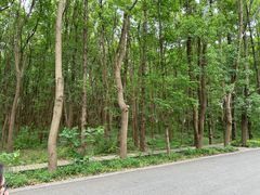 -同里国家湿地公园