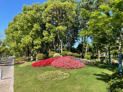 -春花秋色城市公园