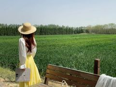 -汉长安城未央宫国家考古遗址公园