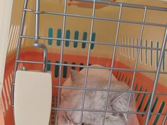 -王允海动物医院(中央大街店)