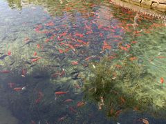 -水磨沟公园