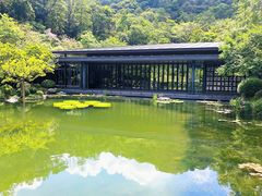 -云溪植物园