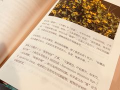 -新月集庭院咖啡馆(老邮局店)
