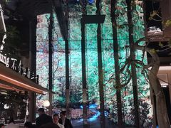 -桂满陇·海市蜃楼·黑金(国金店)