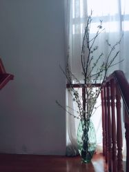 -安那般那皮肤年轻化ANAPANA