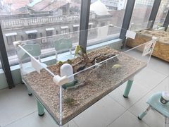 -怪兽屋·羊驼·猫咖·狗咖(俊华广场店)