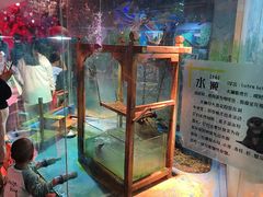 -太奥幻太奇海洋馆