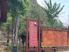 -高荡千年布依古寨旅游景区