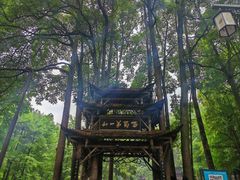 -青城山