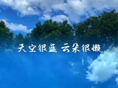 -洋湖国家湿地公园