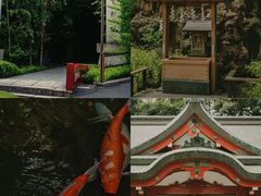 -来宫神社
