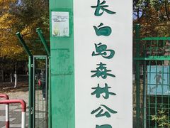 -长白岛森林公园