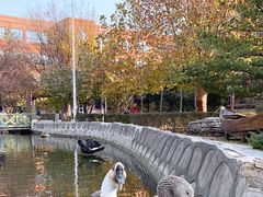 -北京市海淀外国语实验学校