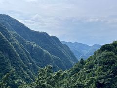 -娄山关景区