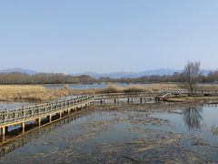 -野鸭湖国家湿地公园