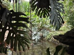 -石家庄市植物园