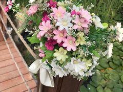 -大塘金香草谷