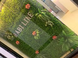 -babiline芭比莱恩半永久纹眉纹唇发际线