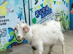 -上海佘山世茂艾美酒店