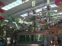 -南宫五洲植物乐园