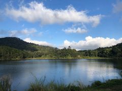 -海南热带雨林国家公园吊罗山景区