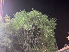 -五悦北平四季涮肉·烧烤(老商埠店)