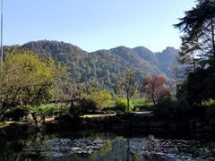 -中国茶叶博物馆(双峰馆区)