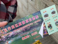 -星湖旅游景区七星岩