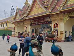 -西双版纳勐泐文化旅游区