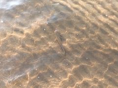 -北戴河东海水浴场