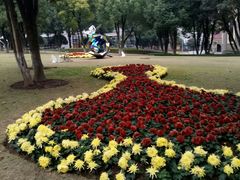 -重庆市江北嘴中央商务区中央公园