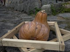 -林坑古村落