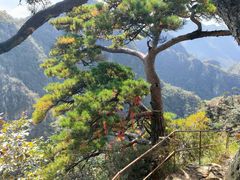 -大连天门山国家森林公园