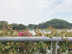 -东莞植物园