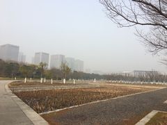 -尚贤河湿地