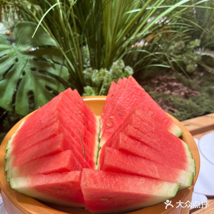 食材超新鲜！春天里自助火锅很难超越