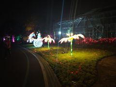 -南通洲际绿博园