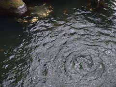 -普陀山风景名胜区-法雨禅寺