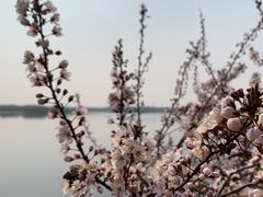 -丁香湖公园