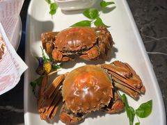 -新白鹿餐厅(星光大道一期店)